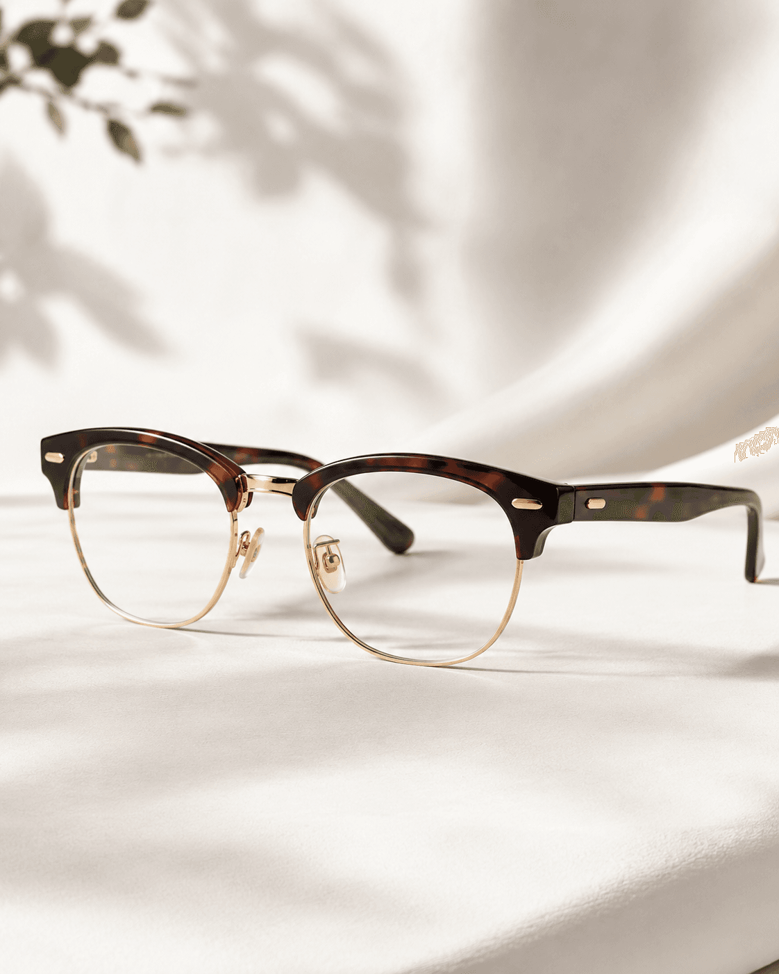 Tortoise frame